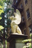 Griffon
