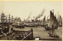 Harbor Scenes