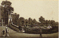 Park Scenes